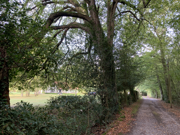 Nous traversons les bois du Haut Epinay et de St-Léger.