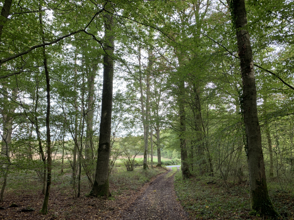Nous sortons des bois près du carrefour de la Lune, sur les traces de notre précédente randonnée à Barc.
