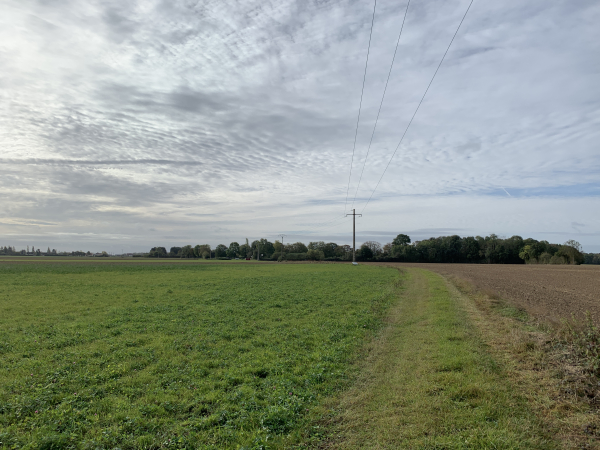 Nous revenons vers Barquet sur ce chemin dans la plaine agricole de la Ferme du Parc. Le chemin est toujours propre et ferme.