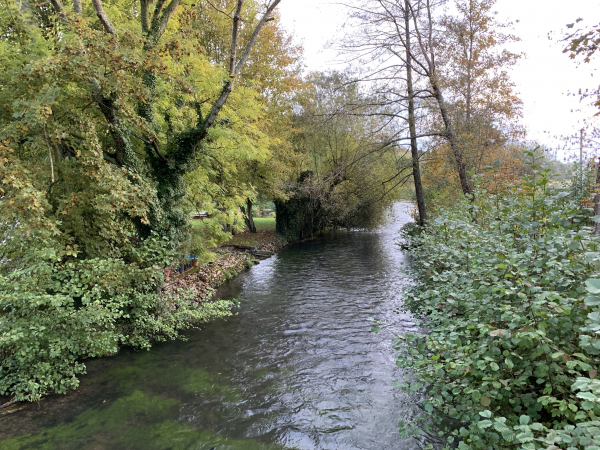 Lit principal de l'Iton à Bérengeville.