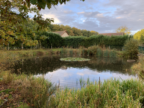 Nous entrons dans St-Jean-de-Morsent en longeant cette mare aux Douves.
