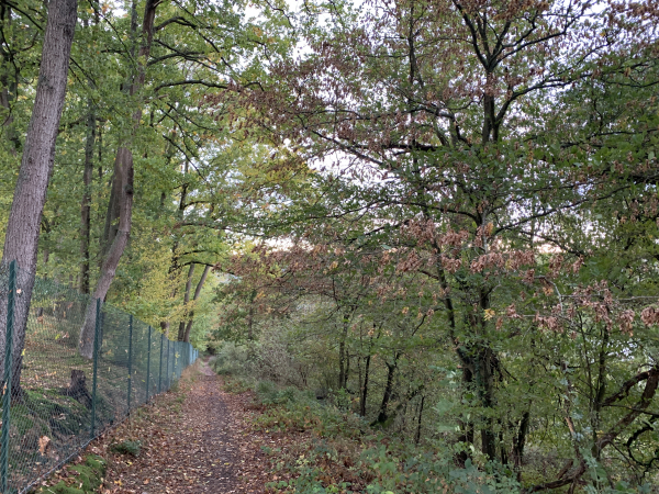 Nous descendons le chemin de la Côte aux Bois pour redescendre dans la vallée.