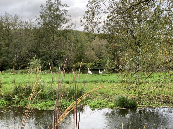 Nous fermons la boucle le long des zones humides de l'Iton.