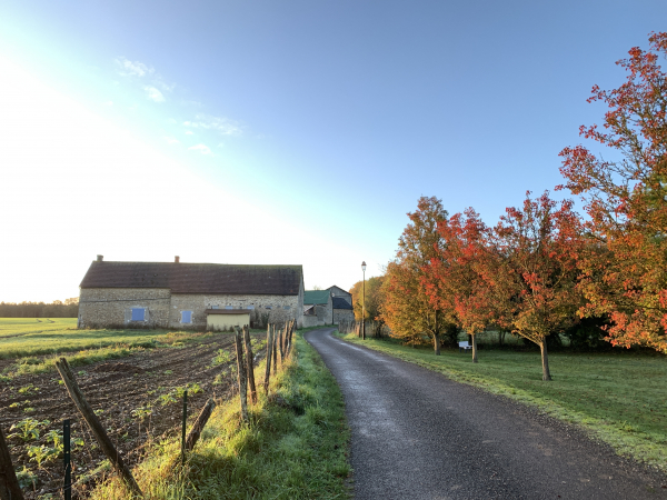 Nous suivons la rue du Mare du Four, qui devient un chemin juste après cette ferme.
