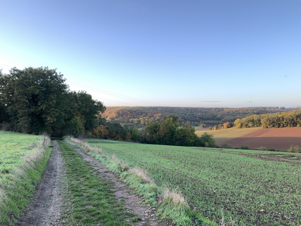 Le chemin de la Côte Blanche ouvre la perspective sur la vallée d'un ancien affluent de l'Eure et sur ses coteaux boisés.