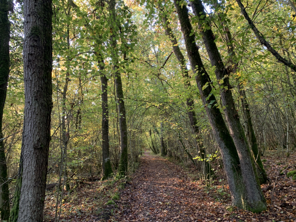 Nous sommes maintenant sur les chemins du coteau sud de la vallée, sur la Côte Froide.