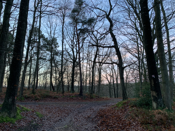 Nous quittons le GR224 après le chemin de Launay. Nous allons tourner à droite ici pour descendre vers les Petites Fontaines. Le GR224, lui, tourne à gauche comme l'indique la balise rouge et blanche.