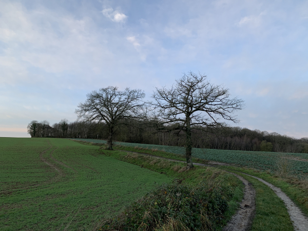 Nous traversons le vallon des Petites Fontaines et montons vers le bois du Chouquet.