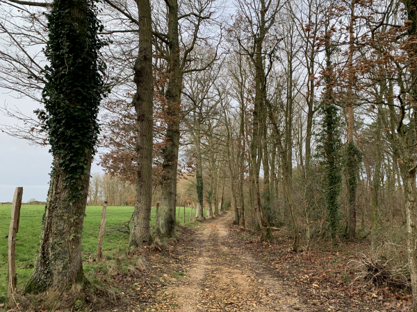 Nous évitons le hameau du Bocage et restons sur les chemins du bois du Chouquet.
