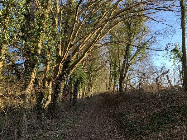 Nous avons traversé la Lévrière, et suivons maintenant le chemin de La Reine Blanche. On imagine le convoi de voitures hippomobiles qui suivait ce chemin de terre pour la promenade de Blanche d'Evreux.