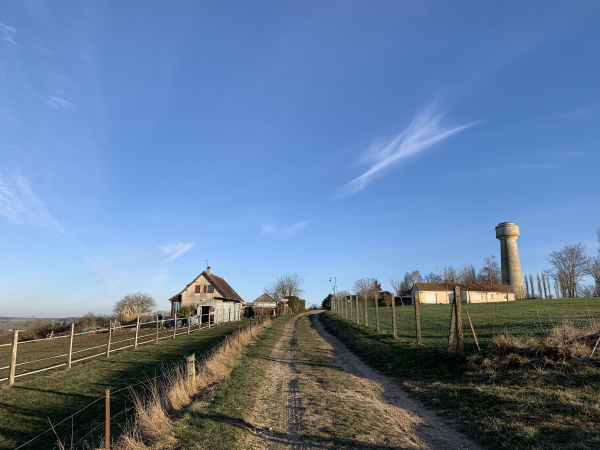 Nous arrivons à St-Denis-le-Ferment. Nous n'entrerons pas dans le bourg, mais tournerons rapidement en direction du bois de la Mare Jaunet.