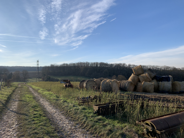 Nous marchons maintenant vers le bois de la Mare Jaunet.