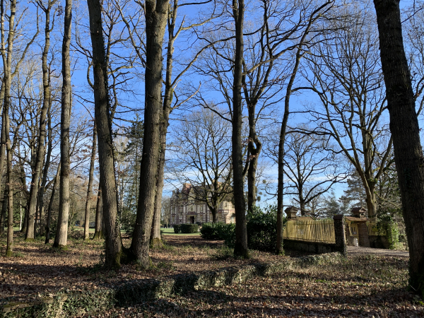 Dans le bois des Hauts Maunis, se trouve le Château de la Rapée au style de manoir anglais. Ce château est un hôtel et un restaurant. A proximité se trouve le Haras de la Rapée, centre équestre et poney-club.
