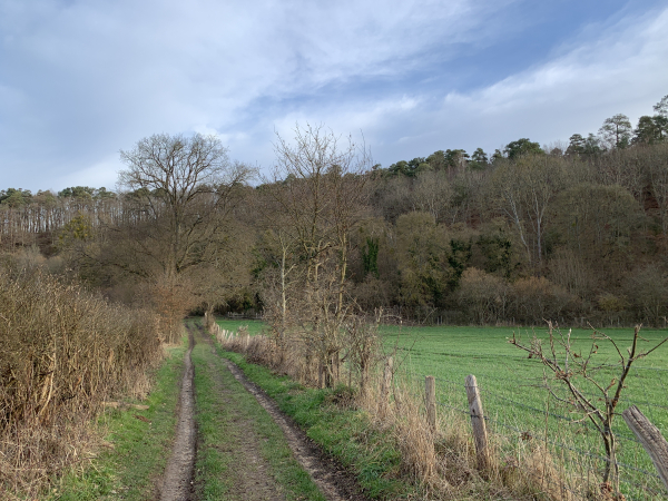 Arrivés dans le Val Monnier, nous allons quitter le GR224 et suivre le chemin des Tuileries qui tourne à droite au fond du vallon, en face de nous.