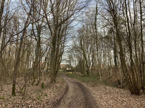 Nous quittons le bois au lieu-dit Les Tuileries, et entrons dans Barc.