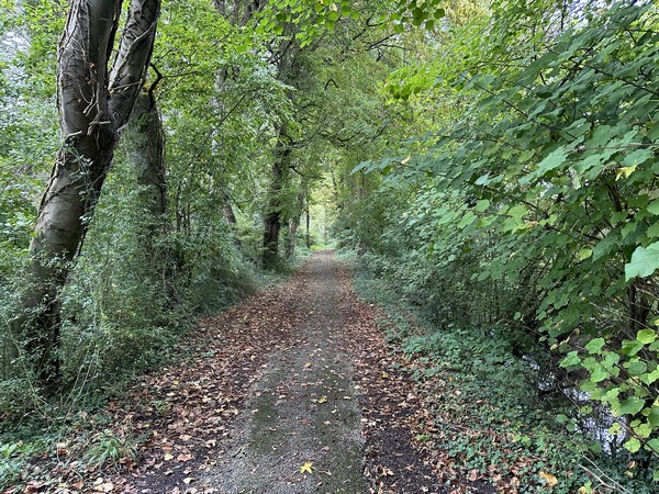 Nous suivons le chemin des marais en direction du bord de Seine.