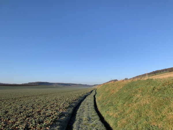 Nous partons du parking de la rue principale de Vieux-Rouen-sur-Bresle, près de la poste, et dès la sortie du bourg, nous trouvons notre premier chemin qui avance plein ouest, le long des champs.