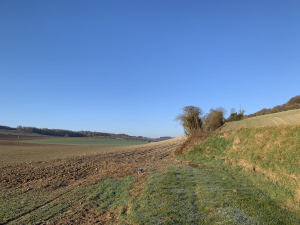Notre beau chemin se termine brusquement. Devant nous, il semble avoir été labouré, mais il est bien là comme l'attestent les traces de tracteurs.