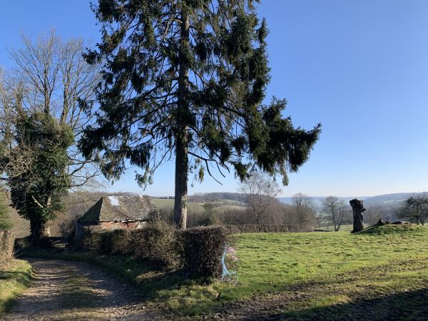Après St-Martin-au-Bosc, nous descendons vers le Fond de la Vieille Verrerie en forêt domaniale indivise d'Eu.