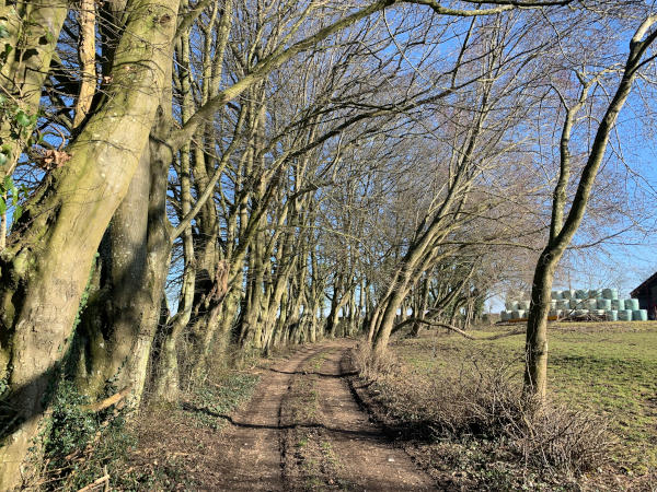 Nous arrivons à ferme de la Grange, et allons continuer vers Campneuseville.