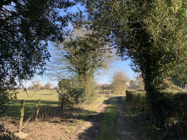 Chemin des Forières à Campneuseville.