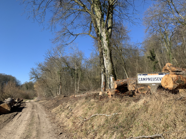 On peut être surpris par ce panneau Campneuseville Seine Inférieure en bordure du chemin qui relie Hodeng à Campneuseville. Nous sommes bien sur l'ancienne route qui reliait ces deux communes avant la D216. La D216 s'appelle d'ailleurs la Route Neuve à Campneuseville.