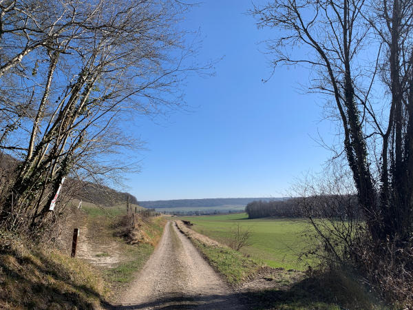 Dès la sortie de la Haute Forêt de Guimerville, notre perspective s'ouvre sur le Fond d'Hodeng.