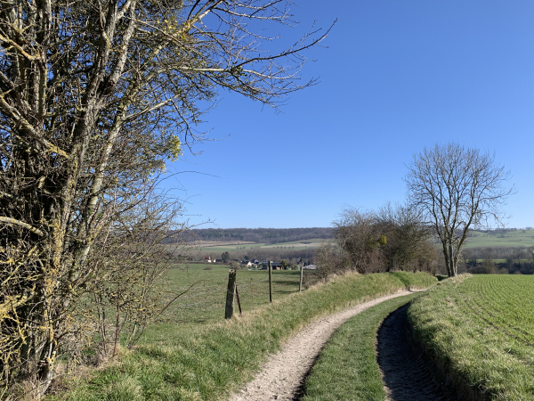 Après Hodeng, nous marchons en bordure de plateau, au-dessus de la vallée de la Bresle.