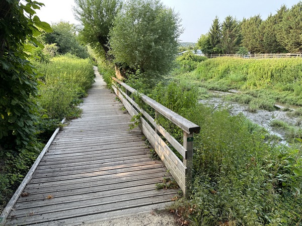 Nous marchons maintenant sur la voie verte (appelée Trame Bleue), qui longe ici un bras mort de la Seine.