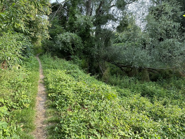 Le port de plaisance est une ancienne écluse, et le canal qui la prolongeait est encore bien visible. Ici nous traversons l'ancien canal.