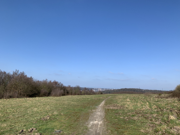 Un sentier traverse le Mont Cabert jusqu'à la rue du Cantipou.