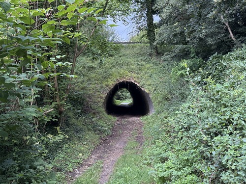 Nous entrons en forêt domaniale de Bord-Louviers en passant sous la D77
