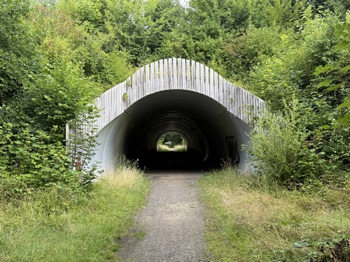 Nous rejoignons la Route Impériale. Depuis que la D77 est une voie rapide, c'est le seul chemin de sortie de la forêt domaniale vers les Damps qui se trouve juste après le tunnel.