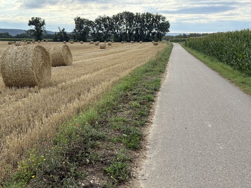 Nous voilà sur la voie verte Seine-Eure, sur le tronçon qui relie Pont-de-l'Arche à Louviers.&nbsp;