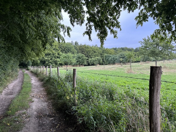 Nous traversons la plaine agricole des Hayettes, puis suivons le chemin qui longe la forêt.