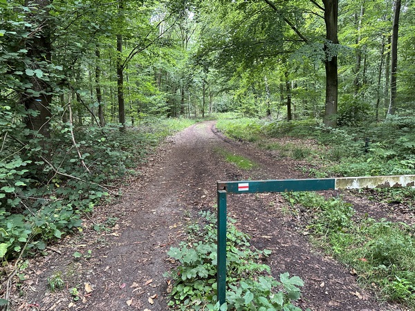 Nous rejoignons le GR222, et le suivons pour entrer en forêt domaniale de Bord-Louviers. Nous allons suivre le GR222 sur 3 km.
