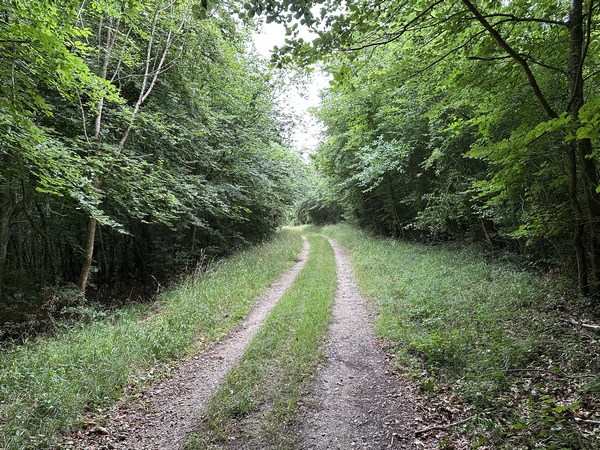 Nous allons bientôt tourner à droite sur le chemin de la Cramponnière.