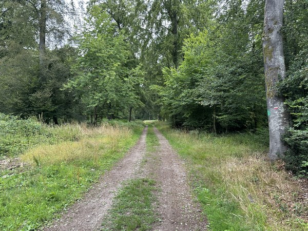 Nous voilà sur le chemin des Deux Mères. Les chemins sont très agréables depuis le départ.