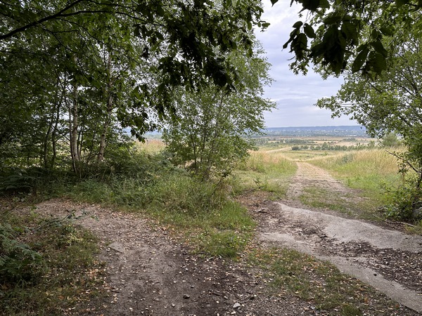 Le chemin de la Rue aux Vaches sort de la forêt, mais nous allons tourner ici à gauche sur ce sentier qui longe la lisière.
