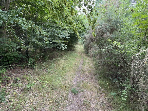 Sentier d'accès à la forêt de Bord-Louviers.