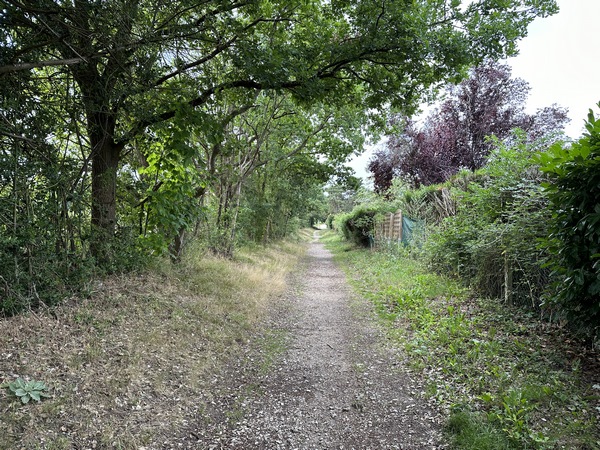 La rue de la Mare Asse se prolonge en chemin jusqu'au parking de la Mare Asse.