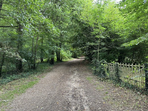 Au parking, nous rejoignons le chemin de la Sente-aux-Moines et allons le suivre jusqu'au bout.