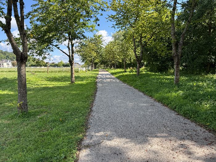 La piste cyclable continue dans Val-de-la-Haye. Il n'est plus possible, à ce jour, de quitter la piste pour rejoindre le chemin de bord de Seine.