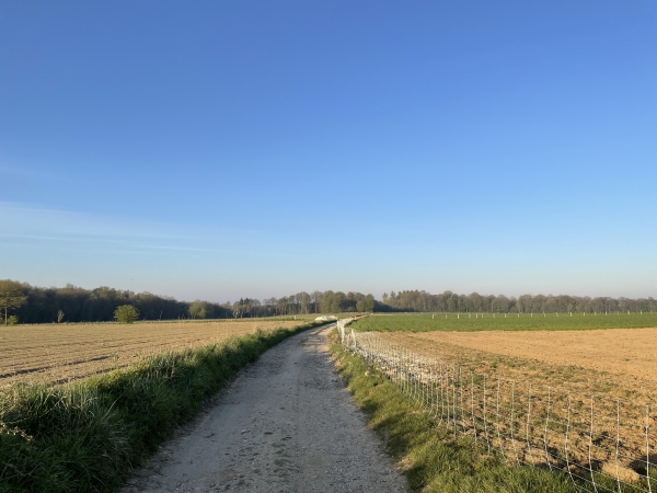 Garés sur le parking du centre de loisirs La Pépinière, nous sommes tout de suite sur les chemins en suivant les balises du GR25C. Nous traversons la Plaine de la Mare au Loup en direction du bois du Grand Mont Briseuil.