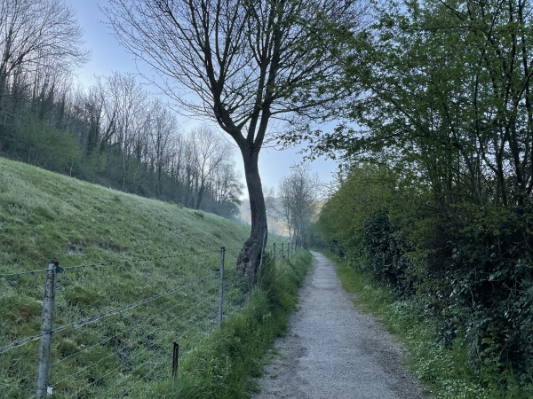 Arrivés dans la vallée, nous suivons la Sente de la Ravine et quittons le GR25C pour rejoindre le chemin du Four à Chaux.