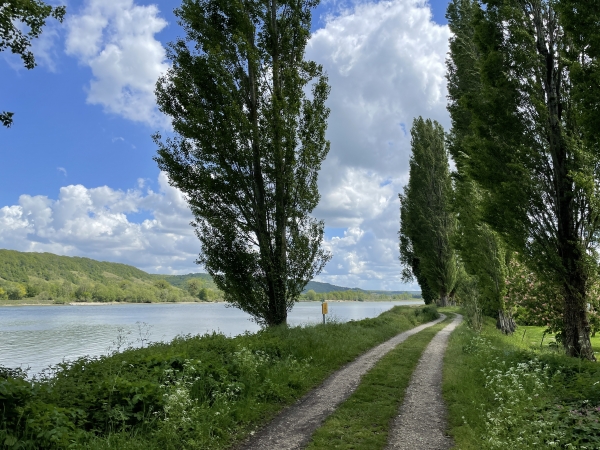 A partir de là, nous allons suivre le chemin de halage sur 3 kilomètres.