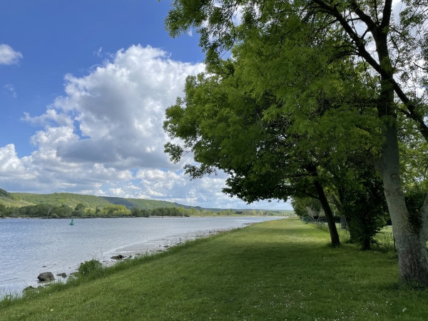 Le chemin de halage n'est pas goudronné sur cette partie, et ce sera le cas sur les 3 kilomètres.