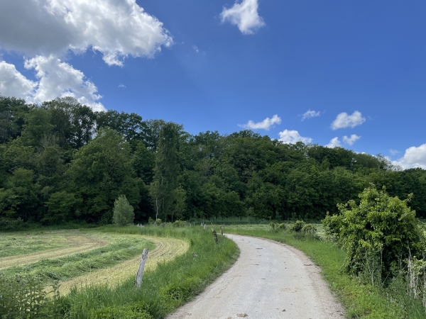 La route du Village est une voie sans issue, les marcheurs peuvent occuper toute sa largeur.