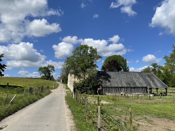 Nous voilà de retour au bourg d'Ambourville. A droite, la maison à l'étang que nous avions vue depuis le chemin de halage.