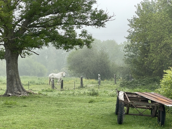 Paysages de bord de Seine.